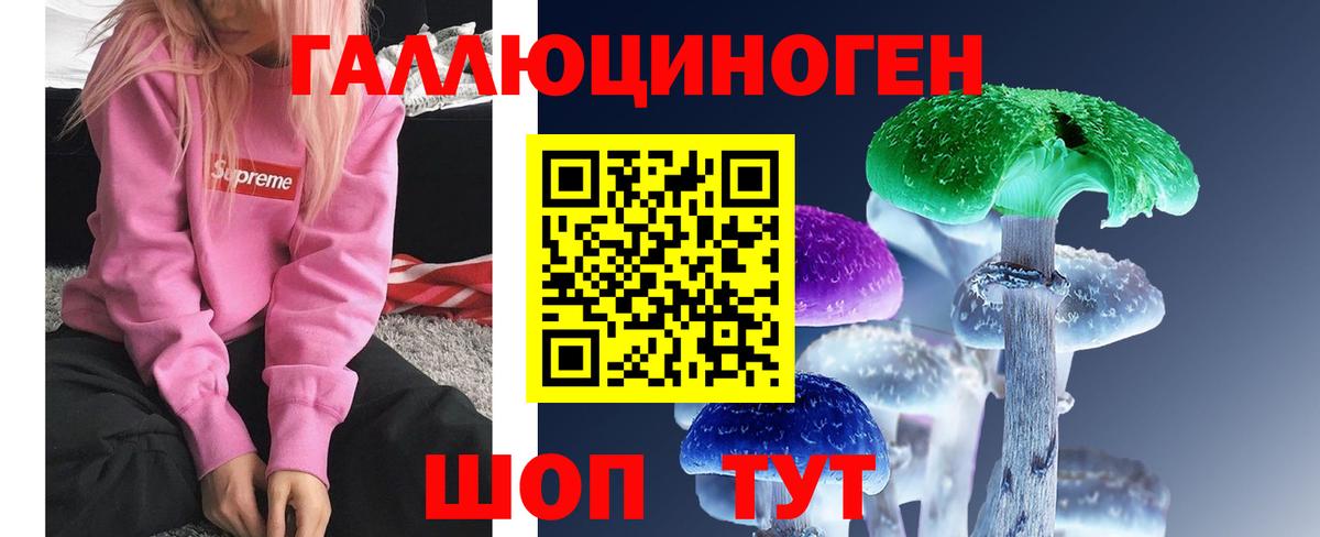 где можно купить наркотик  Псилоцибиновые грибы ЛСД  Вход с VPN  Скопин 